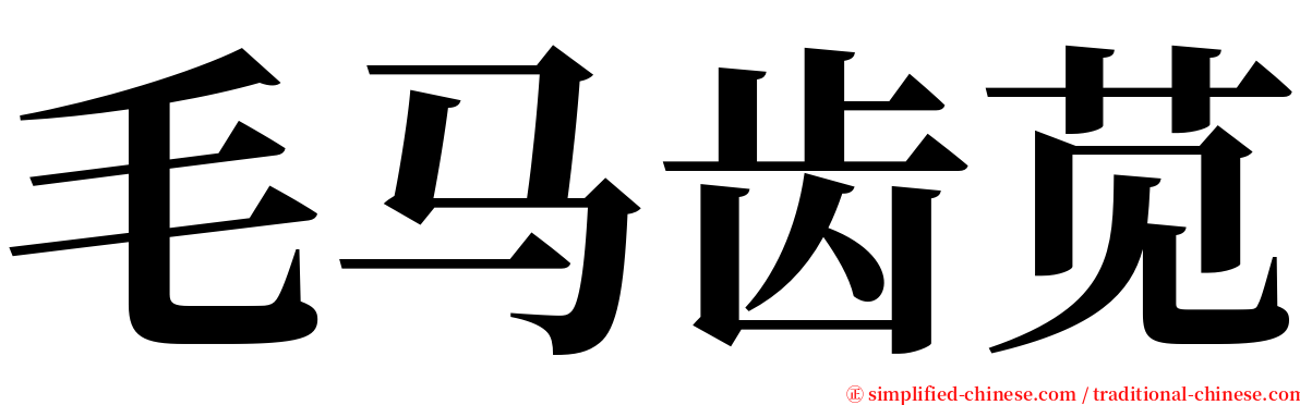 毛马齿苋 serif font