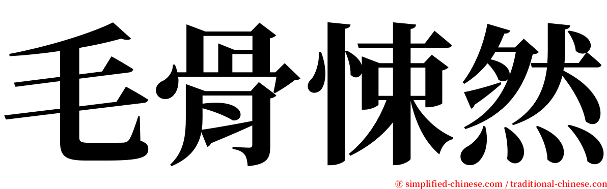 毛骨悚然 serif font