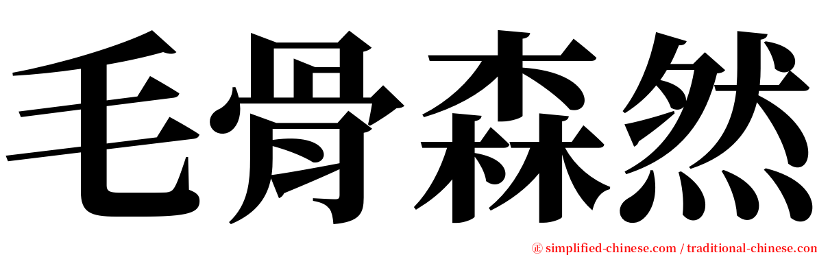 毛骨森然 serif font