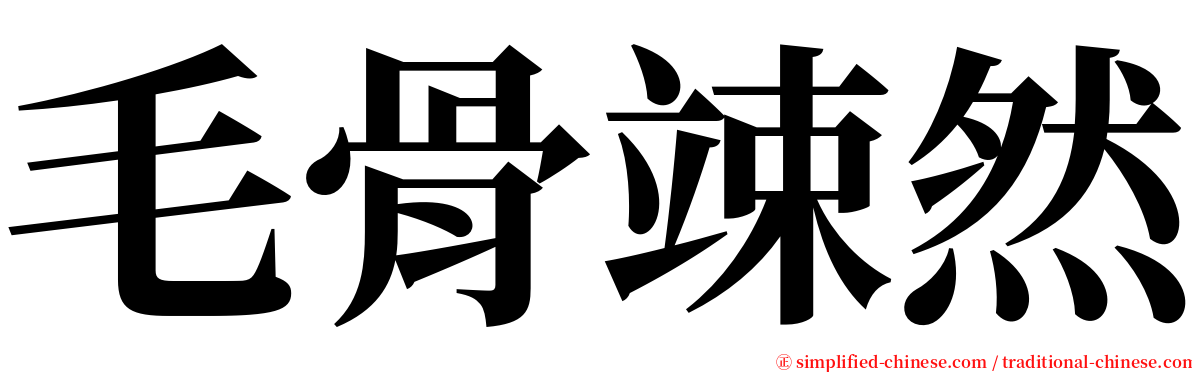 毛骨竦然 serif font