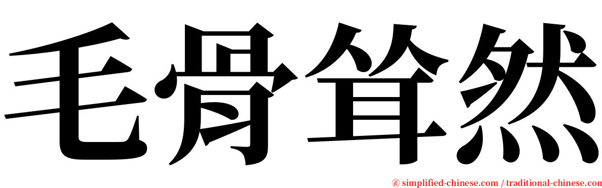 毛骨耸然 serif font