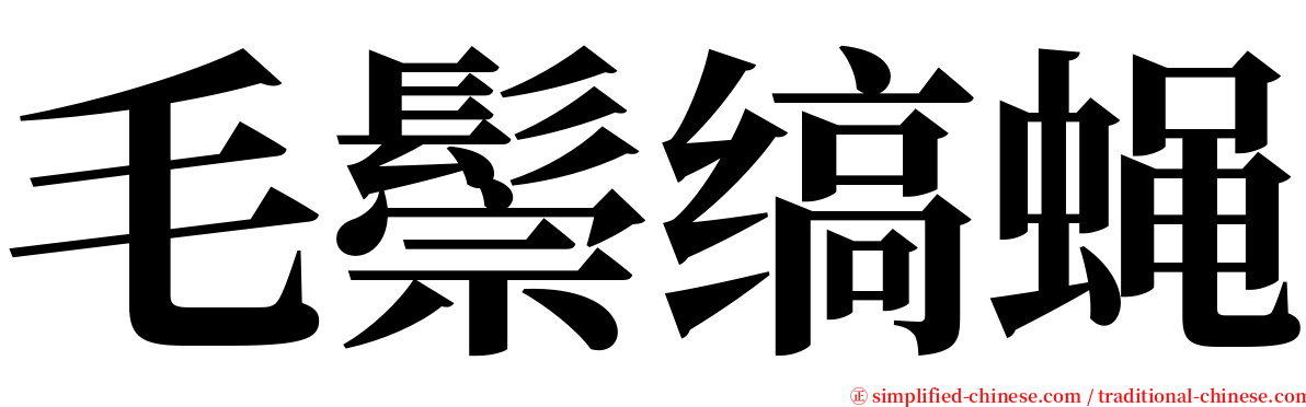 毛鬃缟蝇 serif font