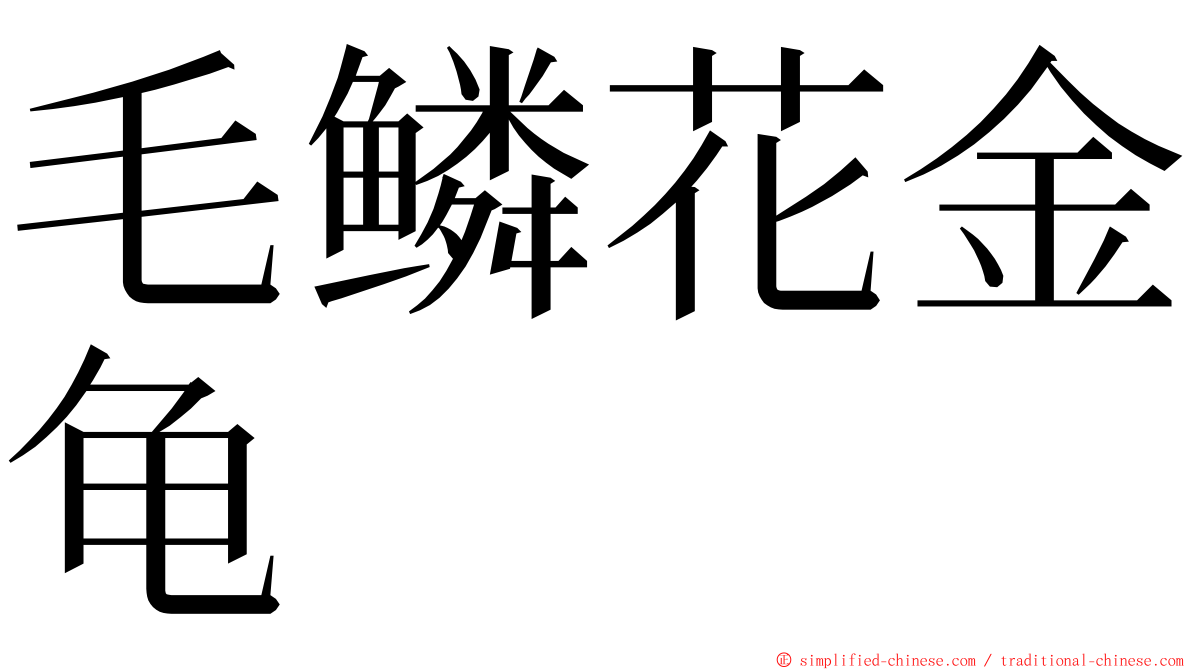 毛鳞花金龟 ming font