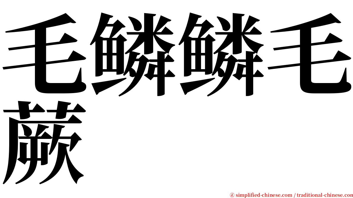 毛鳞鳞毛蕨 serif font