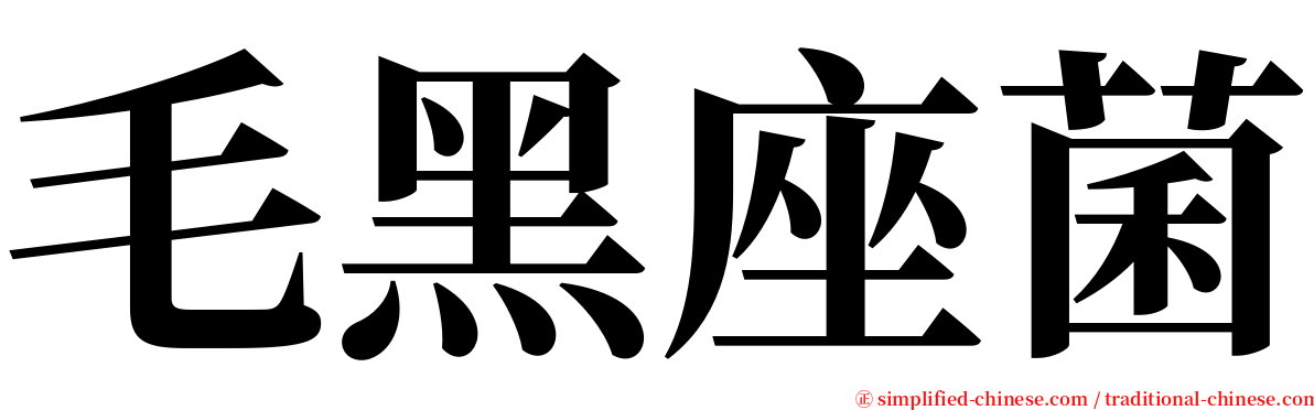 毛黑座菌 serif font