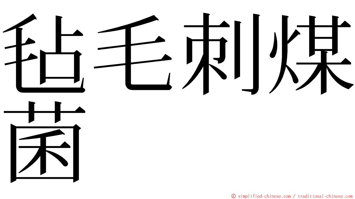 毡毛刺煤菌 ming font