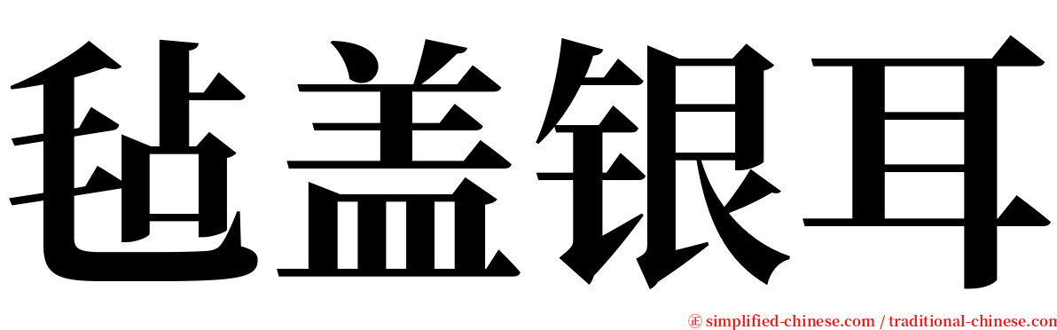 毡盖银耳 serif font