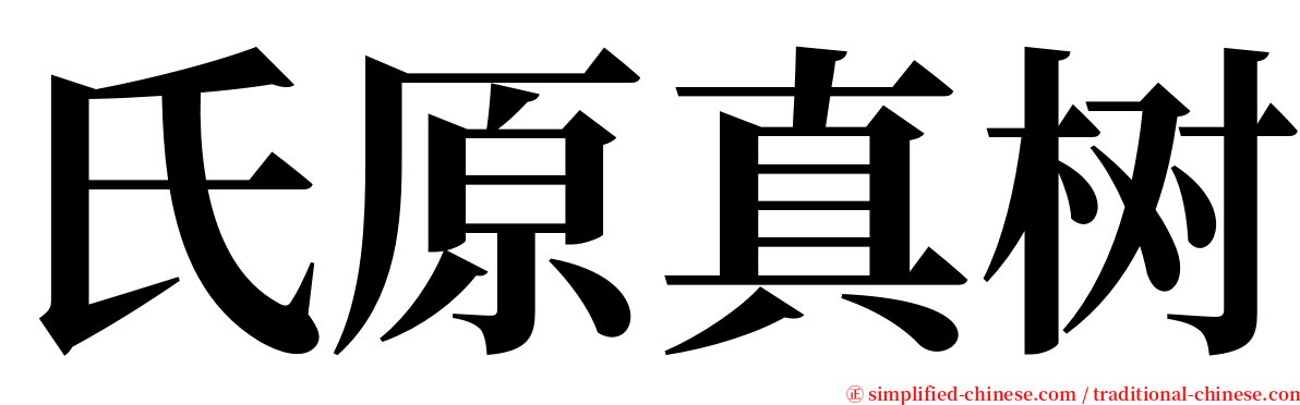 氏原真树 serif font