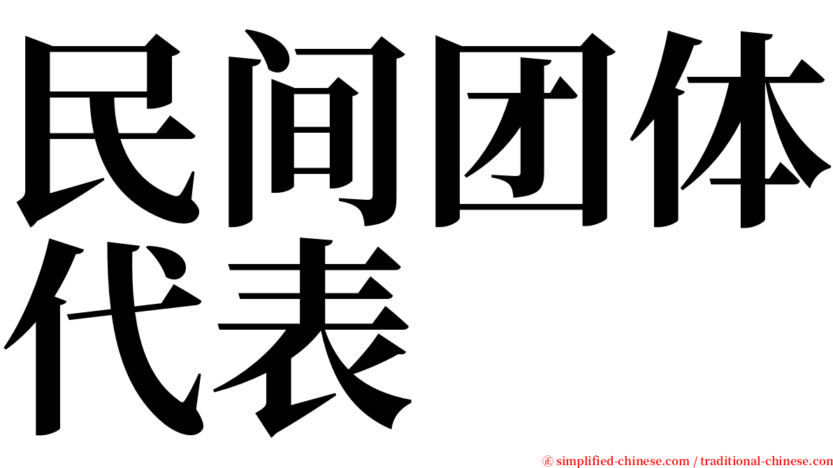 民间团体代表 serif font