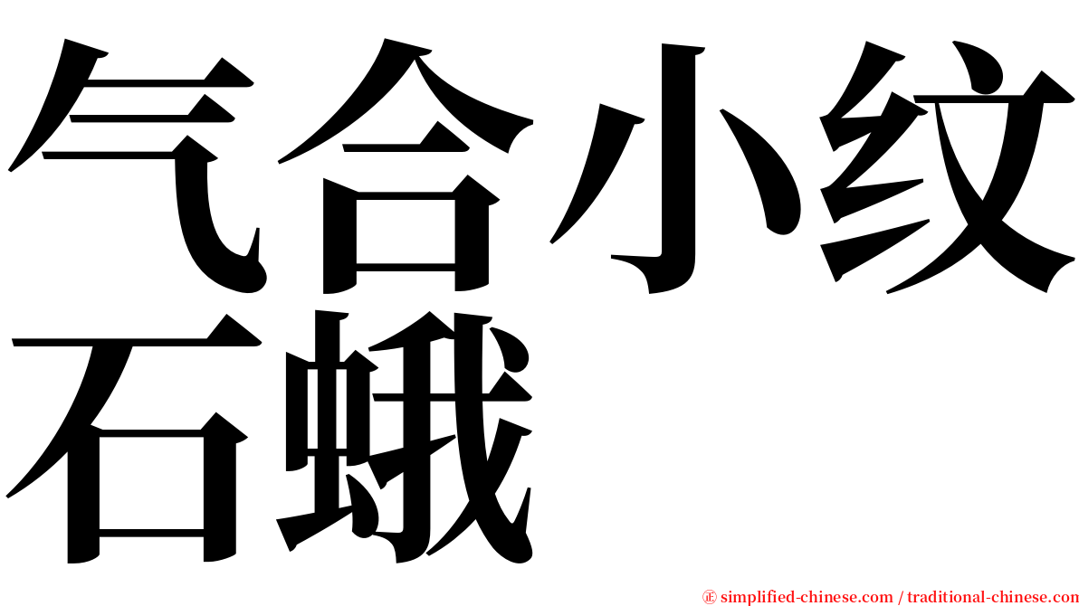 气合小纹石蛾 serif font