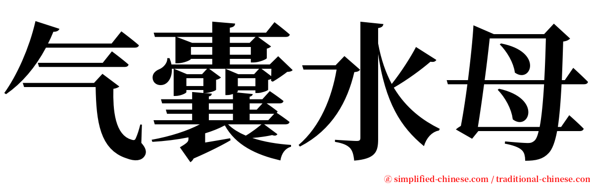 气囊水母 serif font