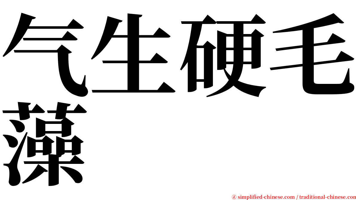 气生硬毛藻 serif font