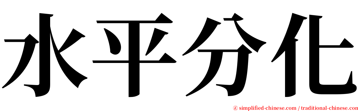 水平分化 serif font