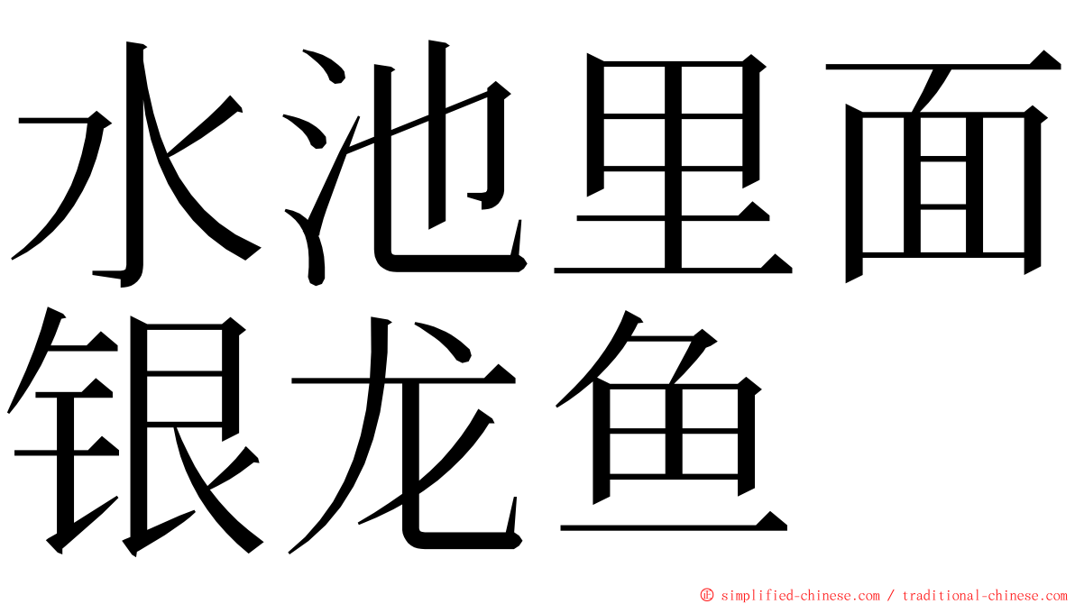 水池里面银龙鱼 ming font