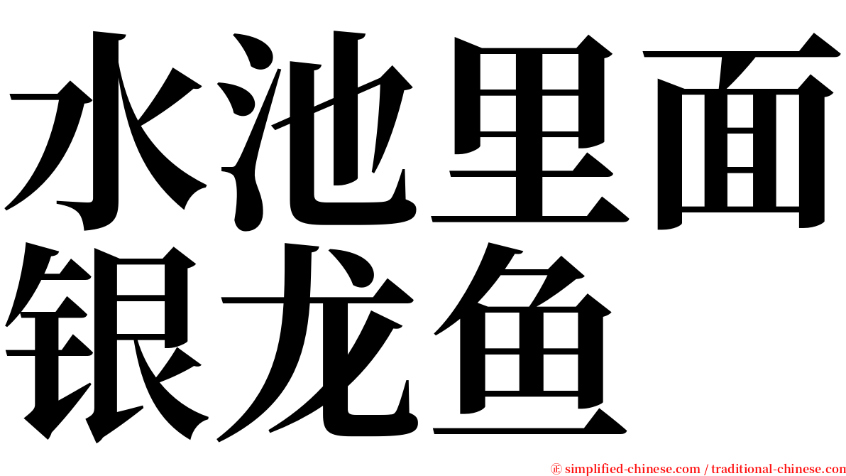 水池里面银龙鱼 serif font