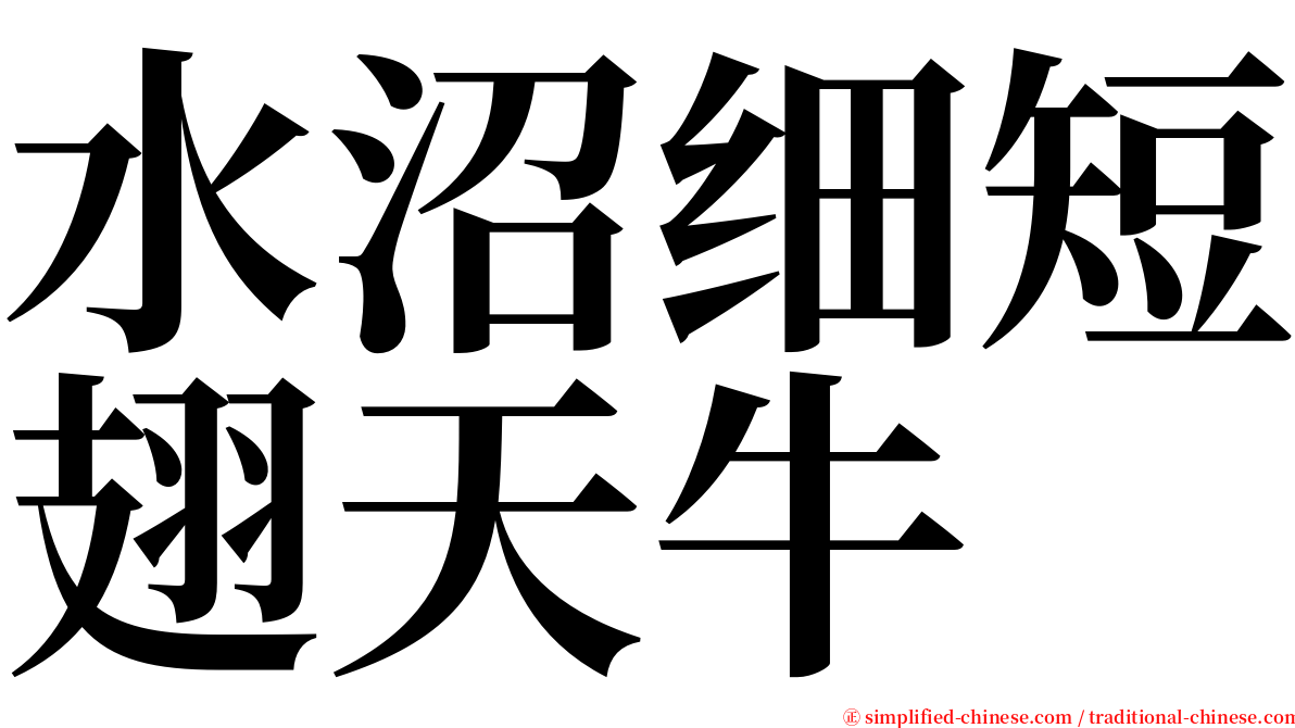 水沼细短翅天牛 serif font