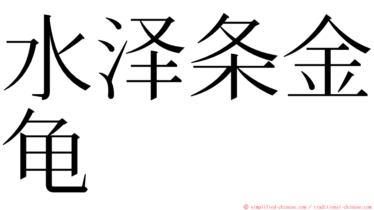 水泽条金龟 ming font