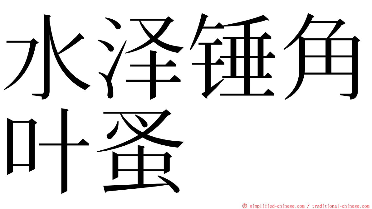 水泽锤角叶蚤 ming font