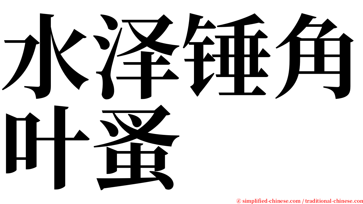 水泽锤角叶蚤 serif font