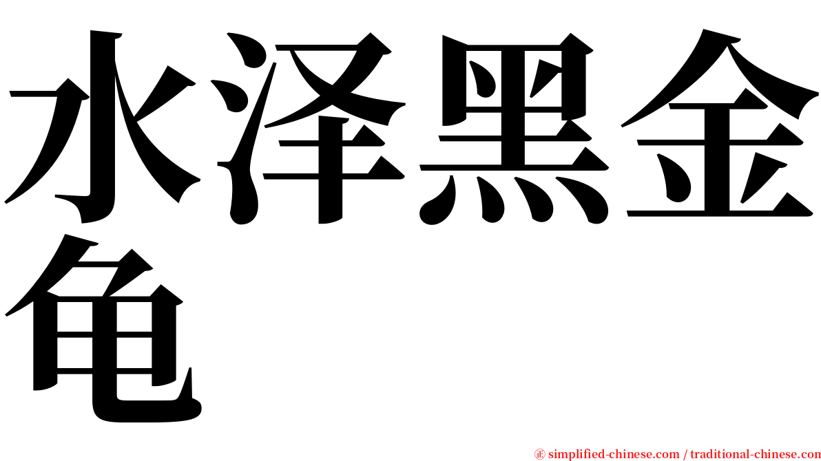 水泽黑金龟 serif font