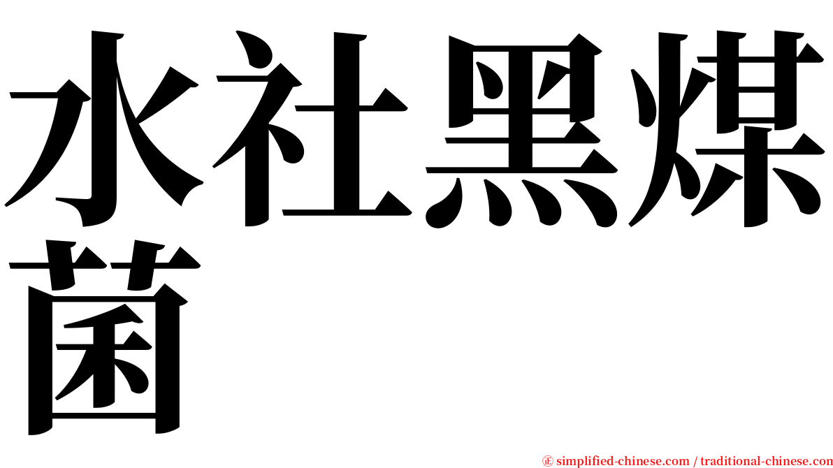 水社黑煤菌 serif font