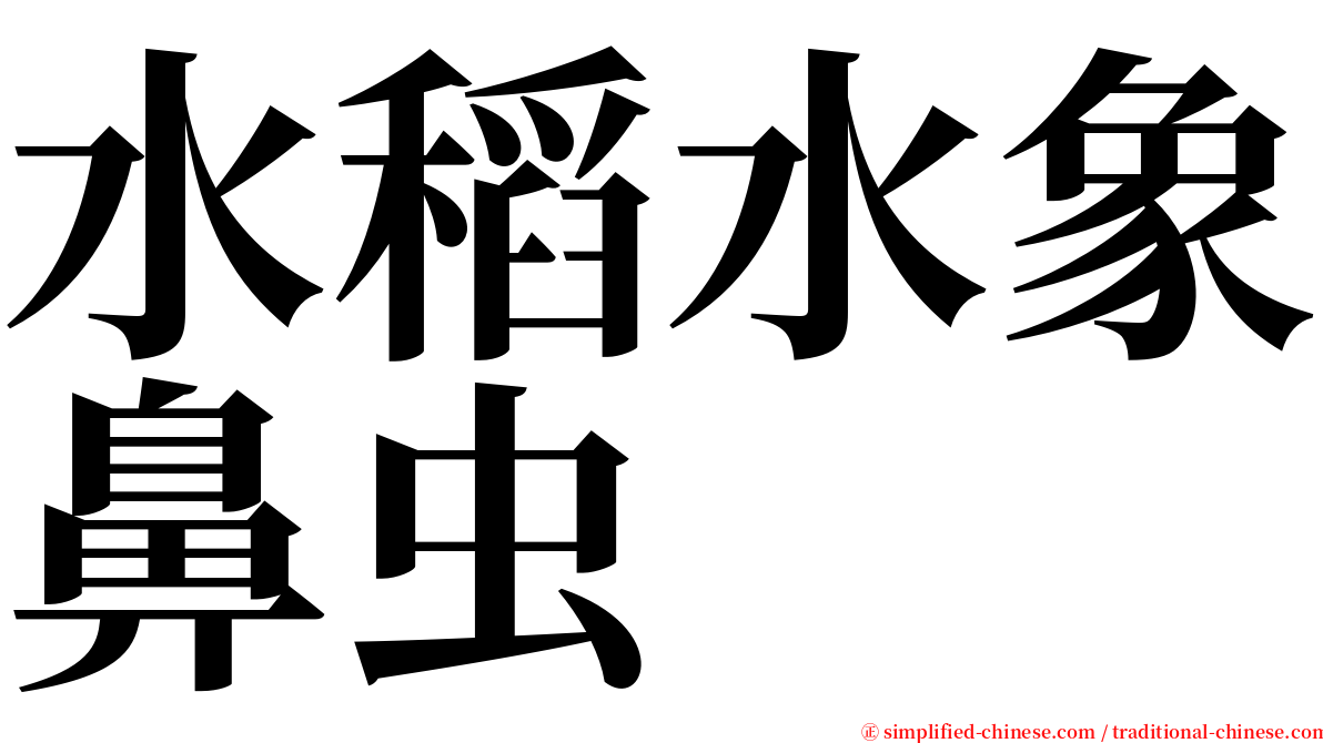 水稻水象鼻虫 serif font