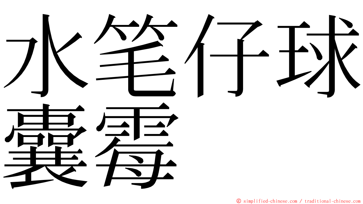 水笔仔球囊霉 ming font