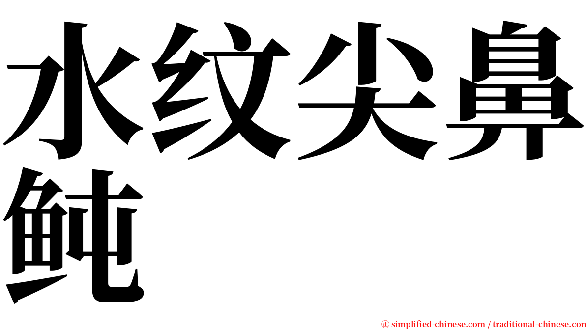 水纹尖鼻鲀 serif font