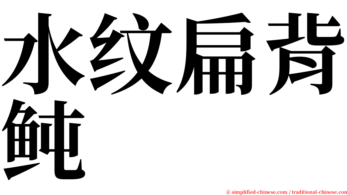 水纹扁背鲀 serif font