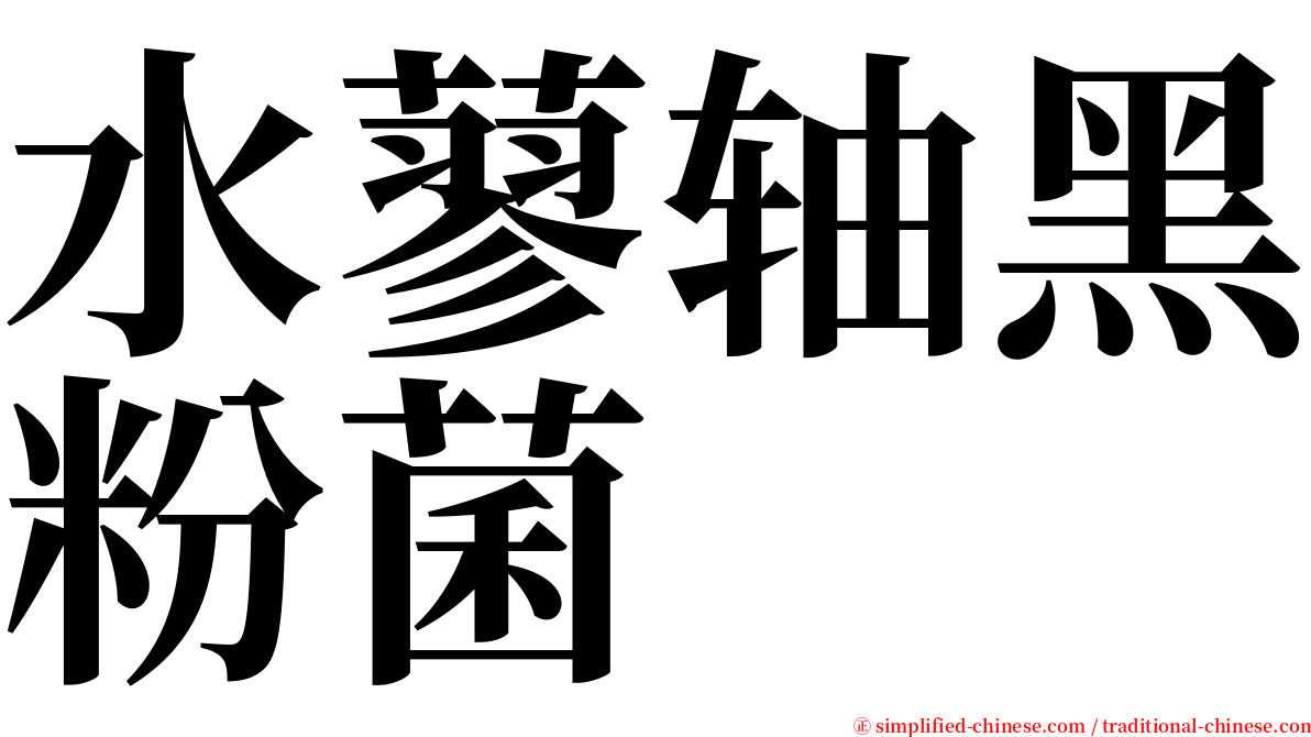 水蓼轴黑粉菌 serif font