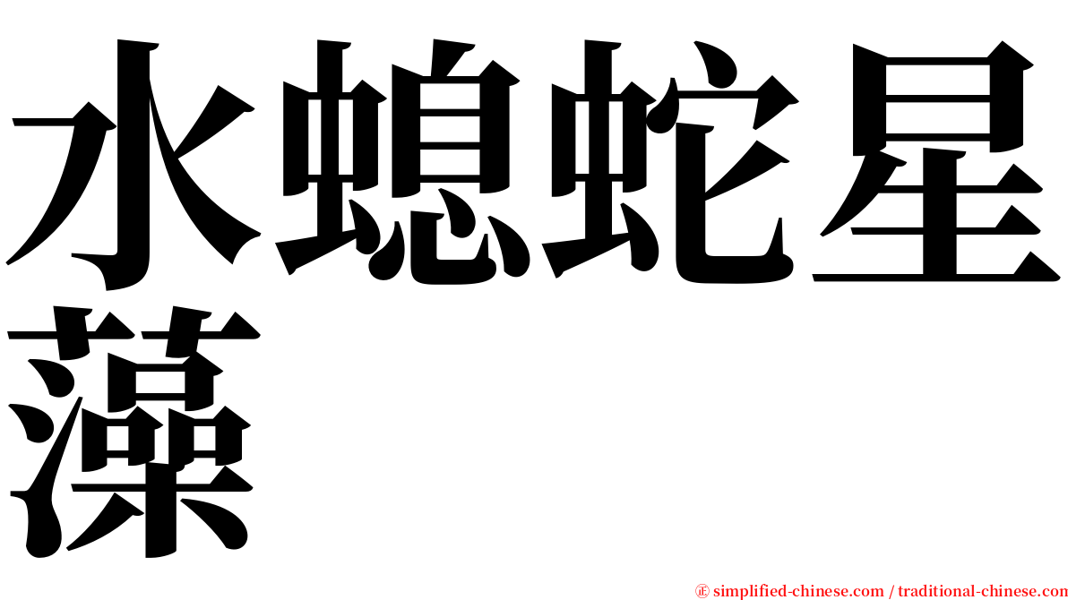 水螅蛇星藻 serif font