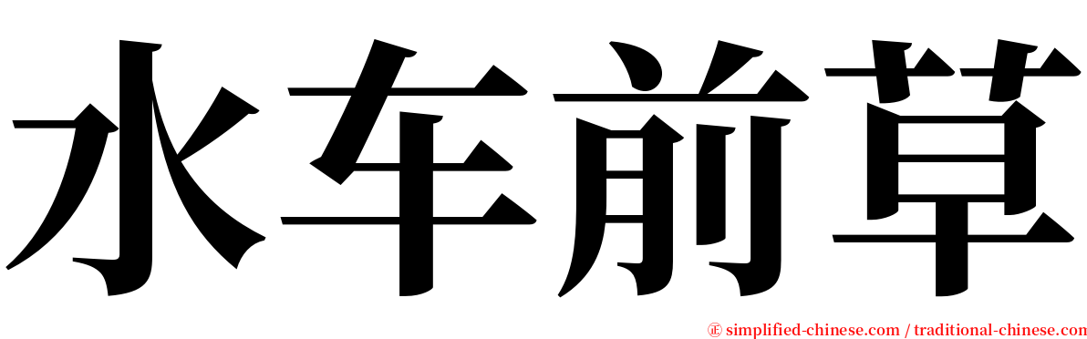 水车前草 serif font