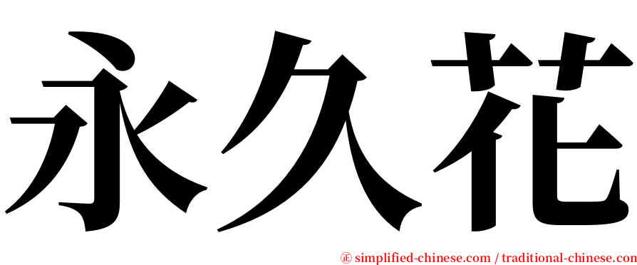 永久花 serif font