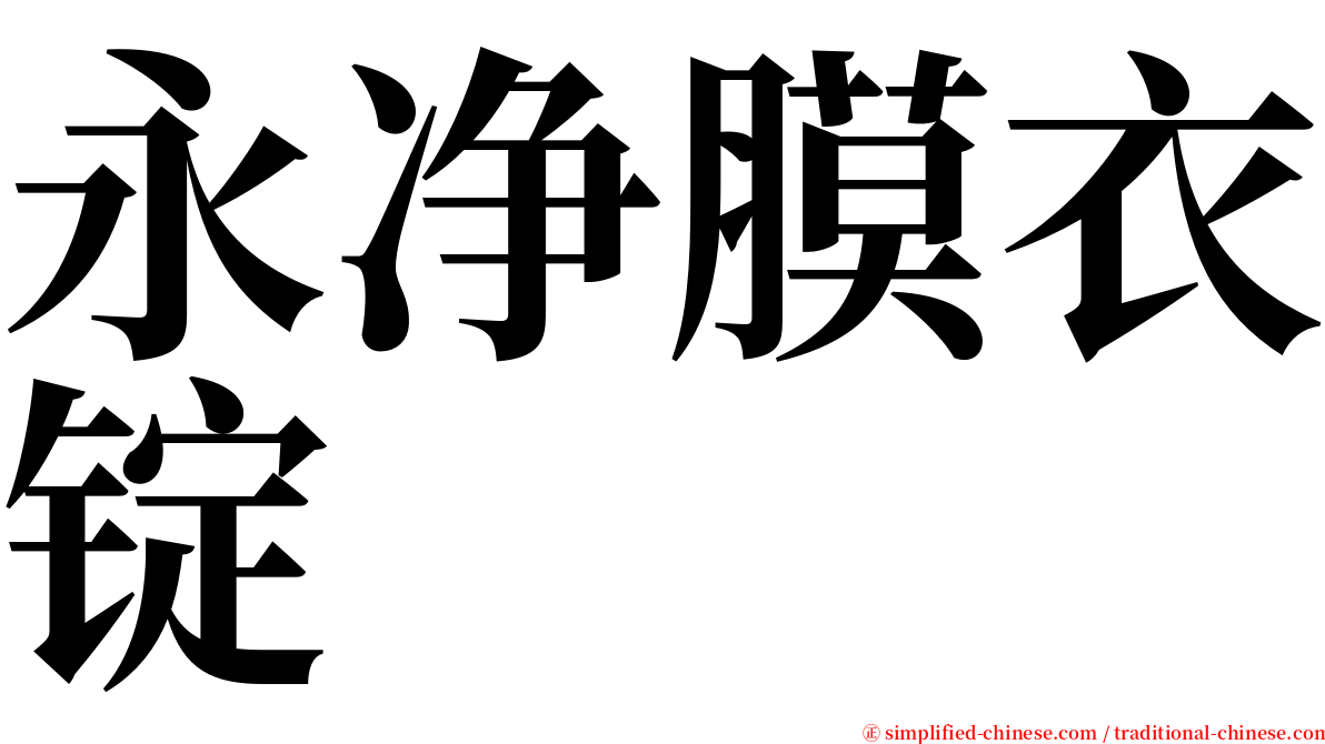 永净膜衣锭 serif font