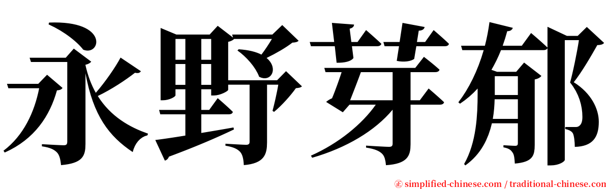 永野芽郁 serif font