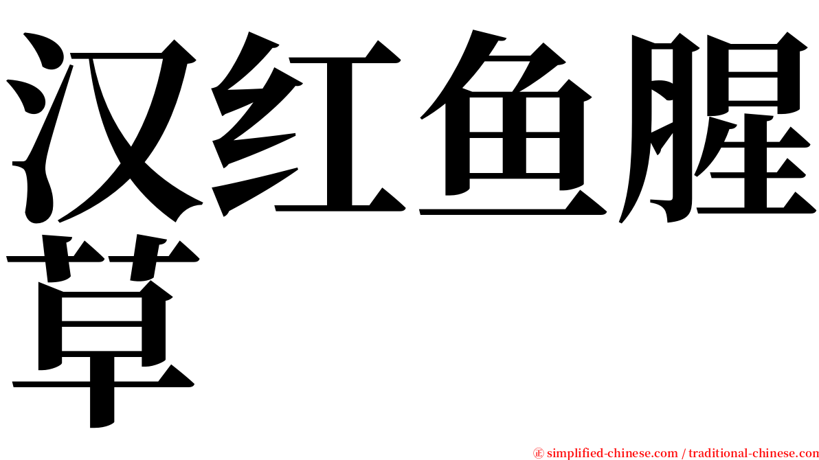 汉红鱼腥草 serif font
