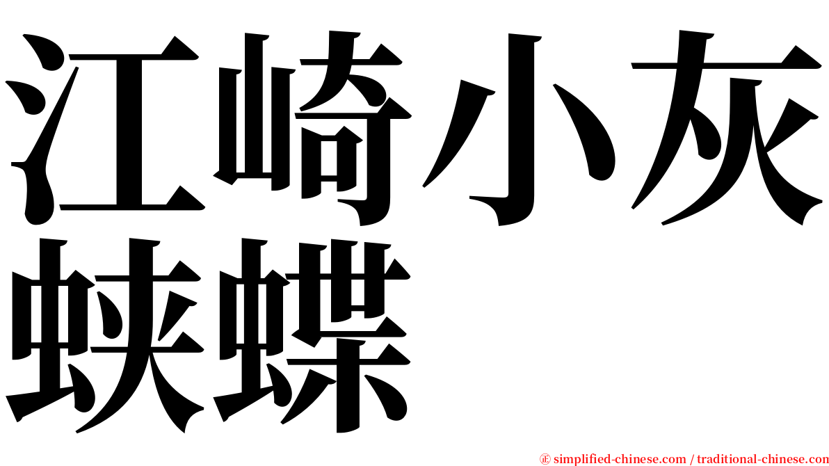 江崎小灰蛱蝶 serif font