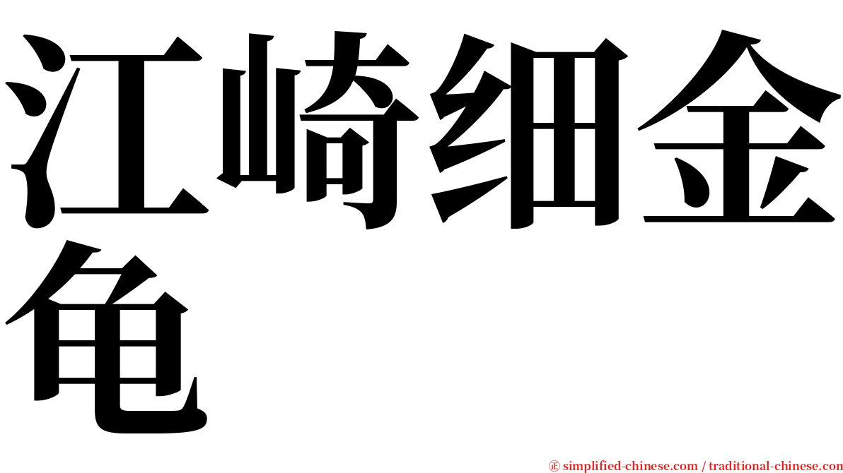 江崎细金龟 serif font