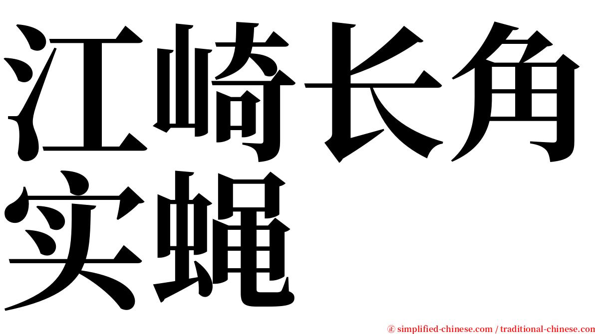 江崎长角实蝇 serif font