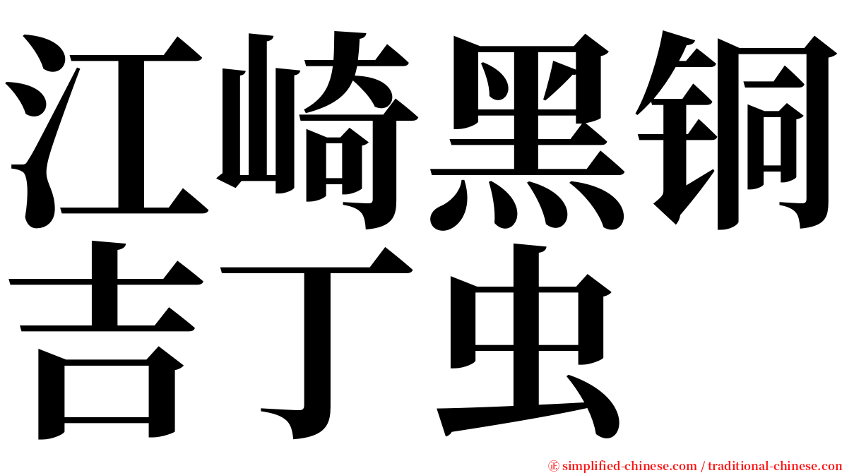 江崎黑铜吉丁虫 serif font