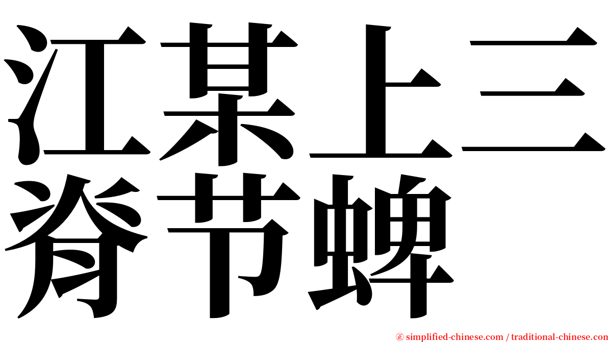 江某上三脊节蜱 serif font