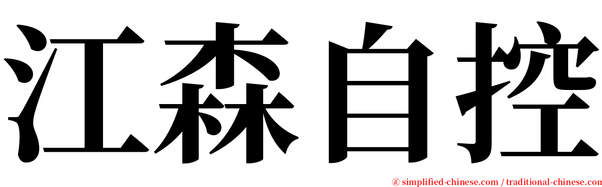 江森自控 serif font