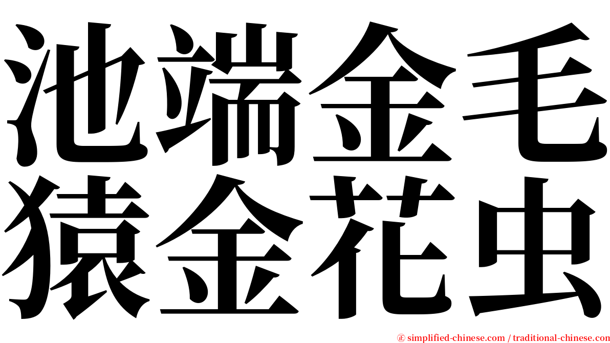 池端金毛猿金花虫 serif font