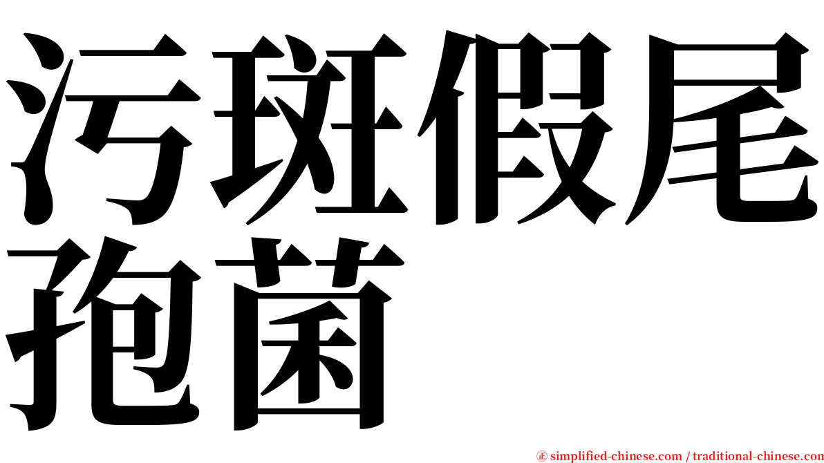 污斑假尾孢菌 serif font