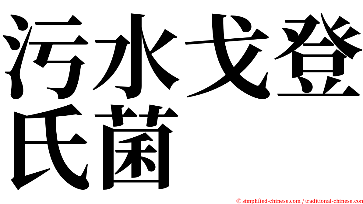 污水戈登氏菌 serif font