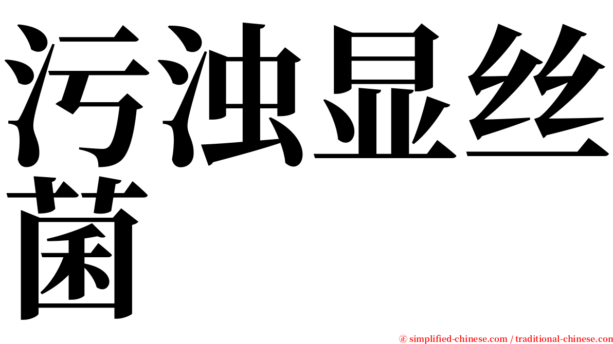 污浊显丝菌 serif font