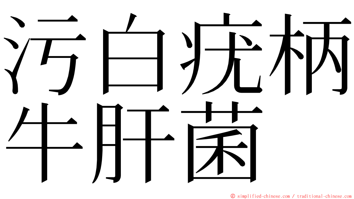 污白疣柄牛肝菌 ming font