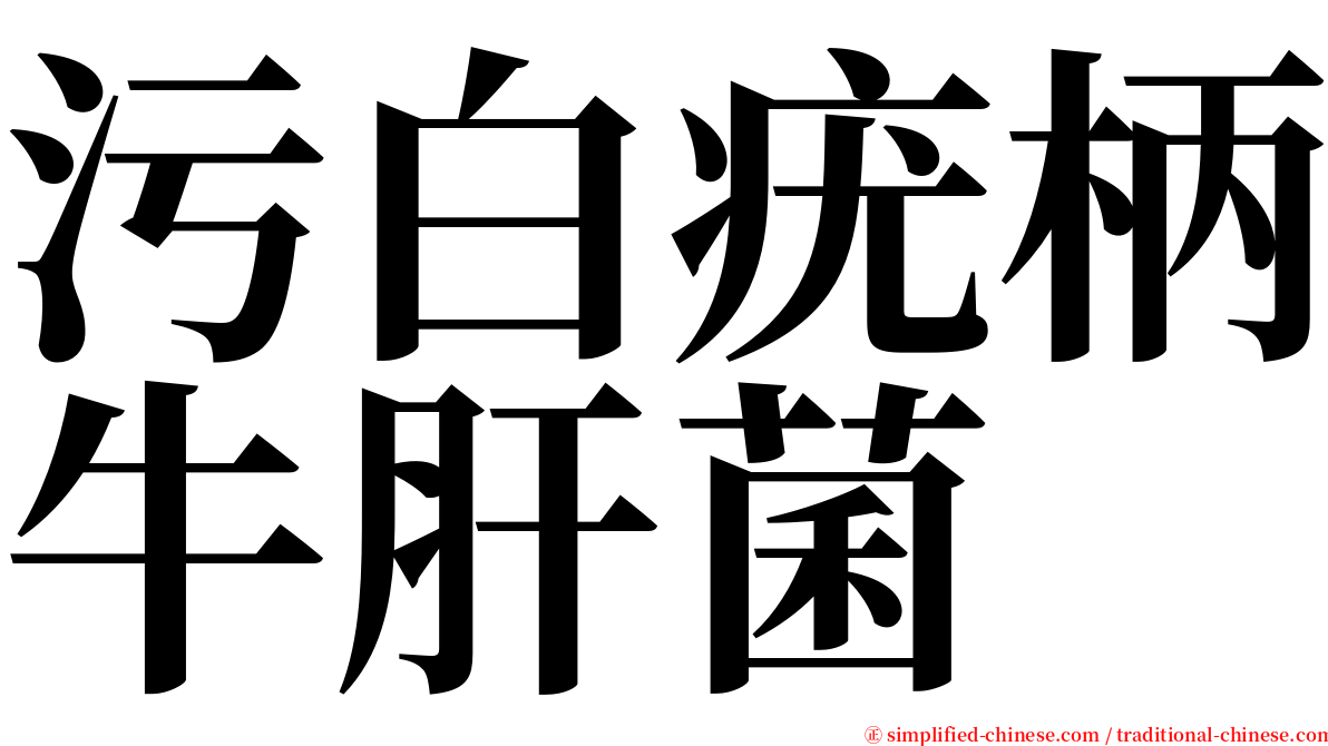 污白疣柄牛肝菌 serif font