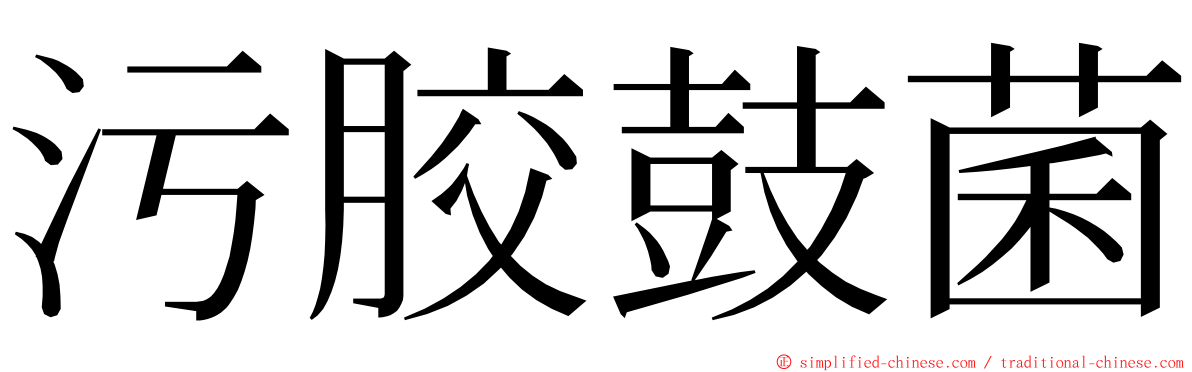 污胶鼓菌 ming font