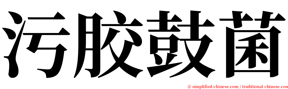 污胶鼓菌 serif font